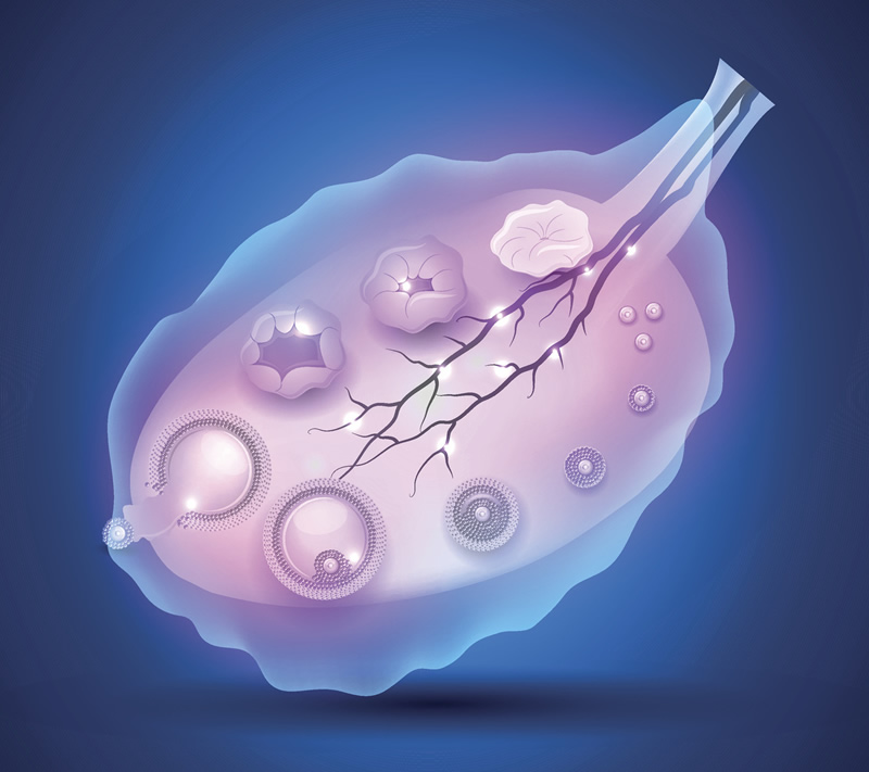 石家庄第三代试管婴儿流程信息！九万够吗？